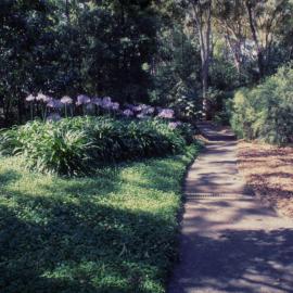 Walkway, North Coast Regional Botanic Garden