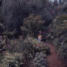 Visitors walk through garden beds, North Coast Regional Botanic Garden