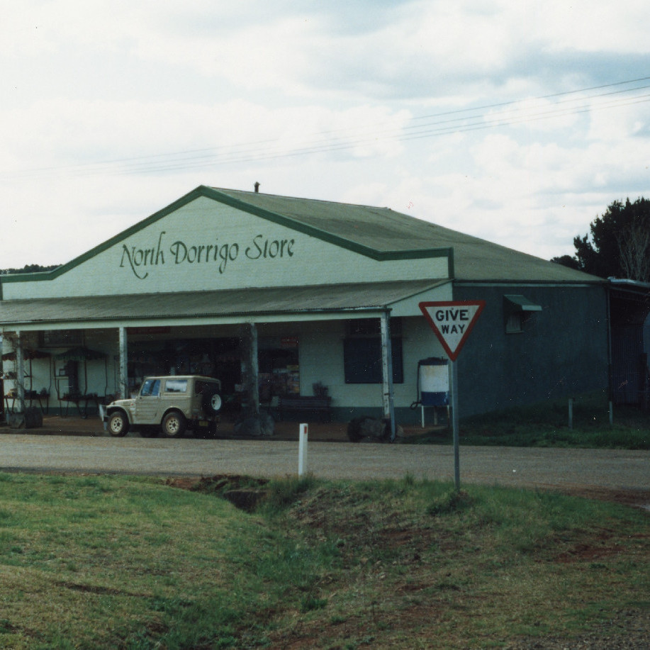 Nina Phillips Interview