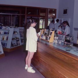 Dorrigo Rainforest Centre interior