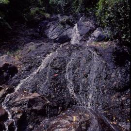 Waterfall, Dorrigo National Park