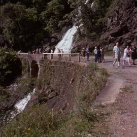 Newell Falls, Dorrigo National Park, c. 1975