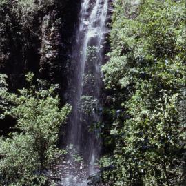 Crystal Shower Falls, Dorrigo National Park