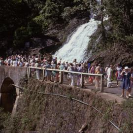 Newell Falls, Dorrigo National Park