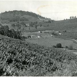 Roberts Hill from Red Hill