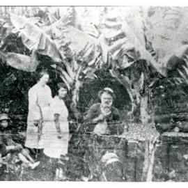 Matthew McFadyen's banana plantation
