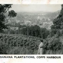 Farm vista