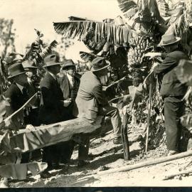 A delegation of BGF inspectors checks the bananas, 1960