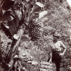 Banana grower Vic Allen, 1926