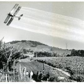 Cropdusting on Spagnolo's farm at Red Hill, July 1958