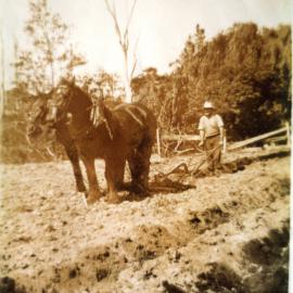 Wallace McLeod working with mouldboard plough, c. 1930s