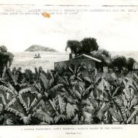 Artist's impression of Hermann Rieck's plantation and home, 1894