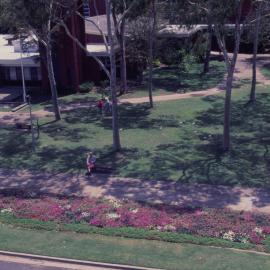 Park outside Civic Centre, Coffs Harbour