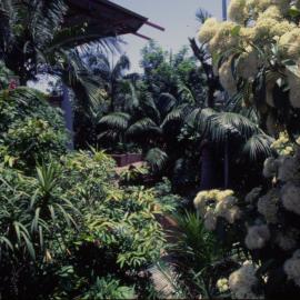 Gardens in the City Centre Mall, Coffs Harbour