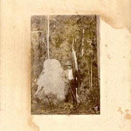 Scale of a termite mound, 1914
