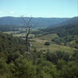 View of the valley, April 1977