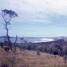 View of Park Beach from Macauley's Headland, c. 1964