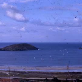 Sailing regatta off Jetty Beach, c. 1964