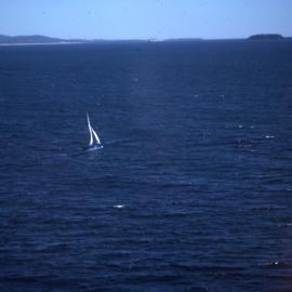 Hobie catamarans out to sea, 1977