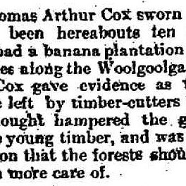 Thomas A. Cox