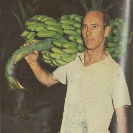 John Landi