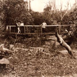 A family poses on a timber bridge