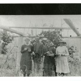 In the orchard