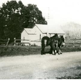 Presbyterian Church, early 1900s