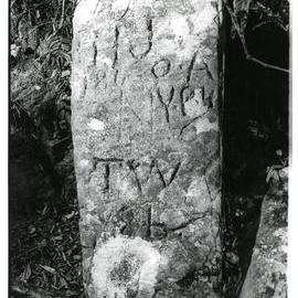 The Explorer's Mark Stone