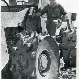 Working at the Council tip, 15 August 1988