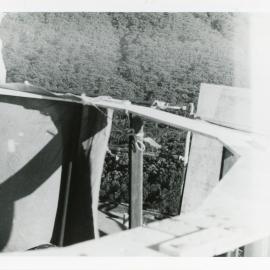 Viewing the tree tops from the Smoky Cape lighthouse, 1977 