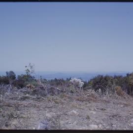 View east from Mount Moombil, c. 1963