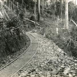 Bucca goldfield tramline