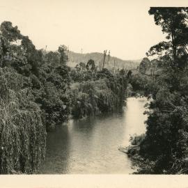 Orara River near Coramba, November 1931