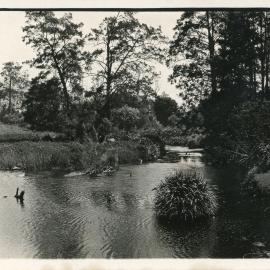 Orara River, 1930