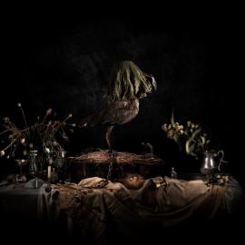 Nature Morte - Veiled Bird