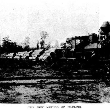 Bobo Sawmill