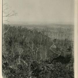 View from Red Hill, 1930