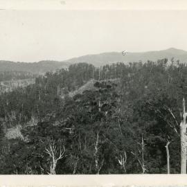 View from Red Hill, 1930
