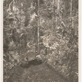 Crawler tractor in rainforest, c. 1940s