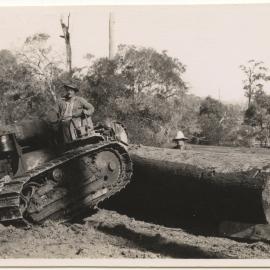 Tractor with felled tree, c. 1940s