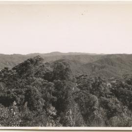 Forested hills, c. 1940s