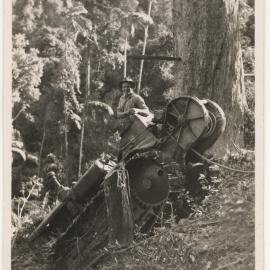 Tractor in rainforest, c. 1940s