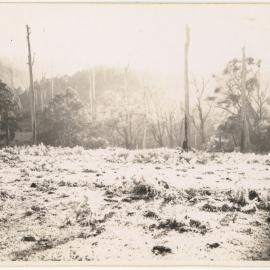 Frost in Karangi, c. 1940s