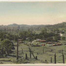 Sawmill and farmland, c. 1940s