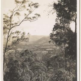 Karangi bushland and farms, 20 June 1948