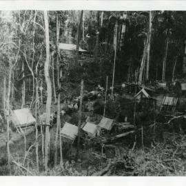 Tents for single men at the Beacon Mine