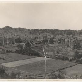 Otley farm at Karangi, 14 July 1945