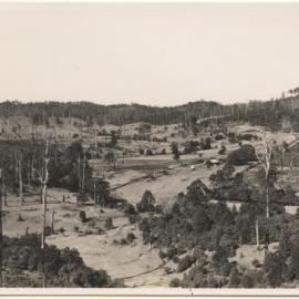 Otley farm at Karangi, 23 August 1946