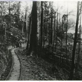 Gold mine tramline